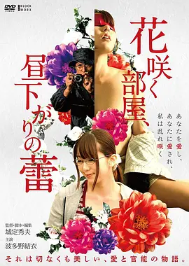 远大前程2012电影海报