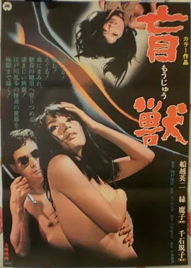 小妇人2019电影海报